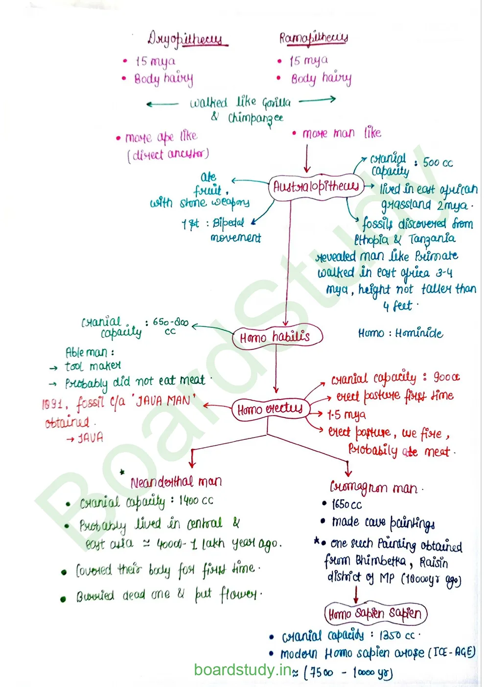 Evolution_page-0028