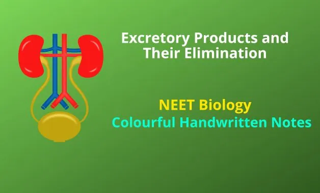 Excretory Products and Their Elimination Notes PDF
