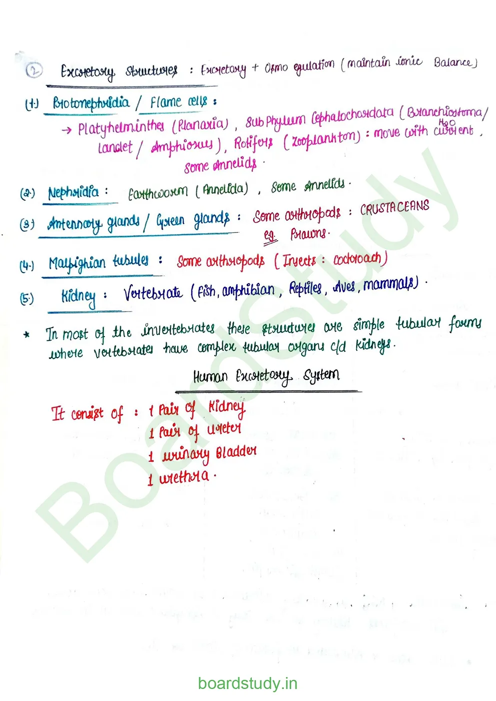 Excretory product and its elimination_page-0002
