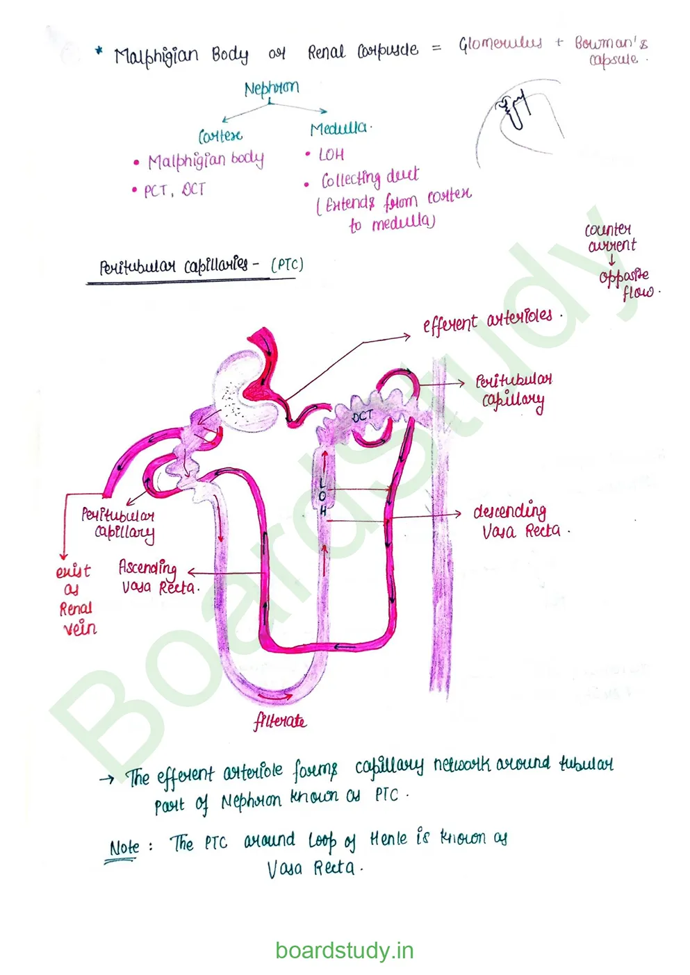 Excretory product and its elimination_page-0006