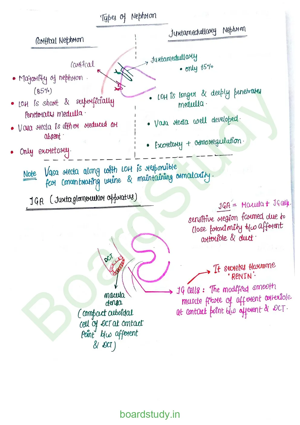 Excretory product and its elimination_page-0007
