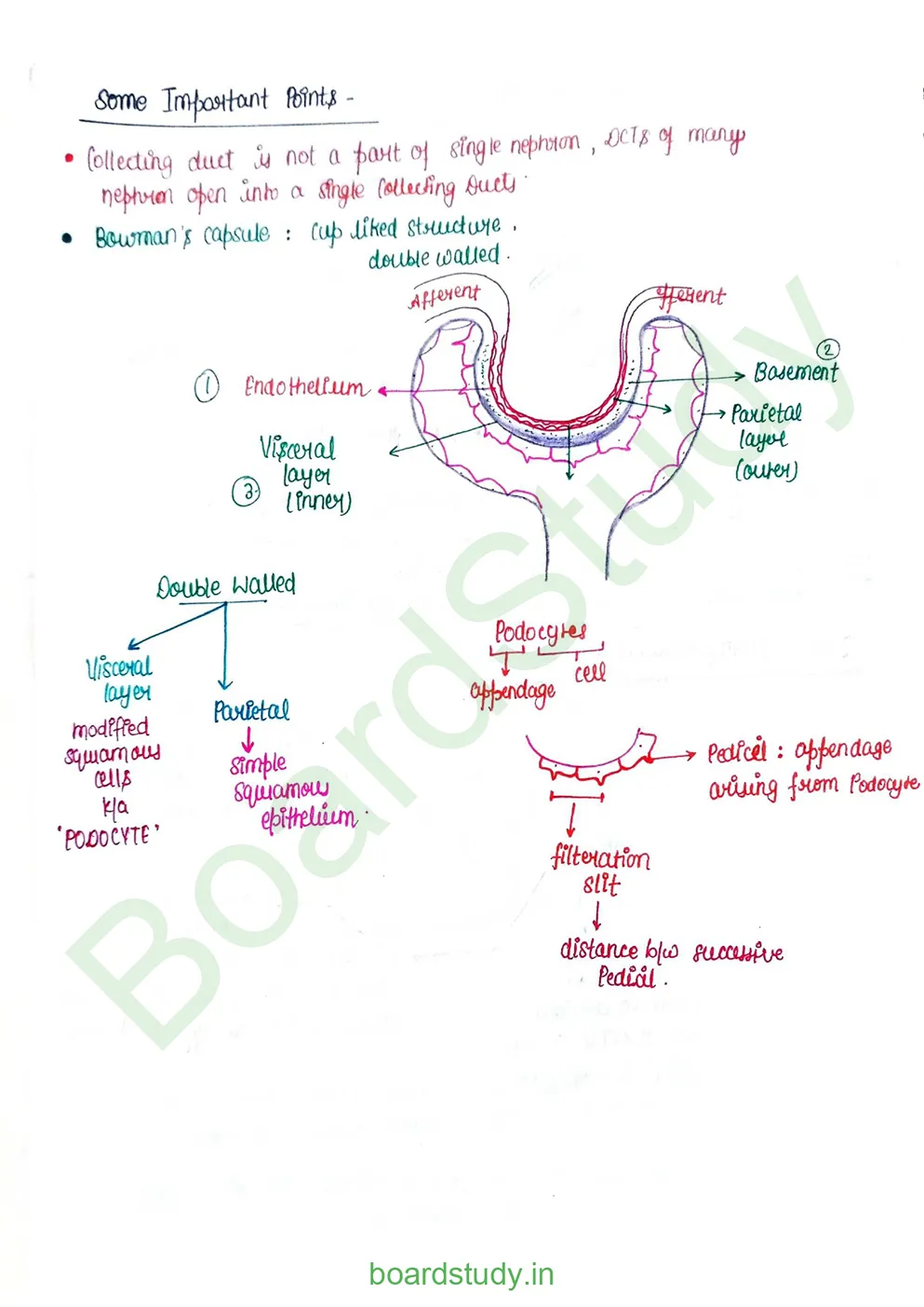 Excretory product and its elimination_page-0008