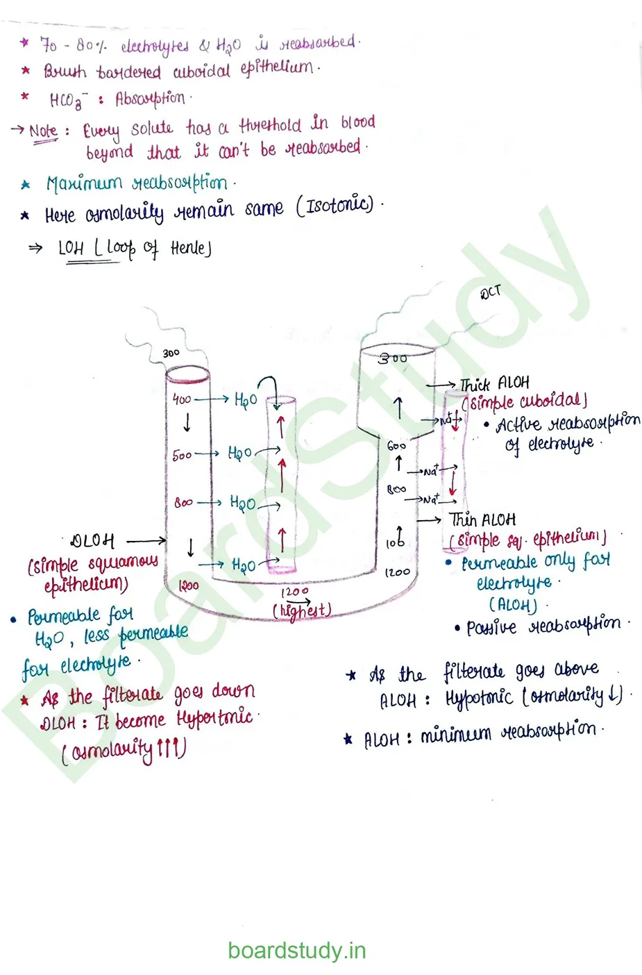 Excretory product and its elimination_page-0011