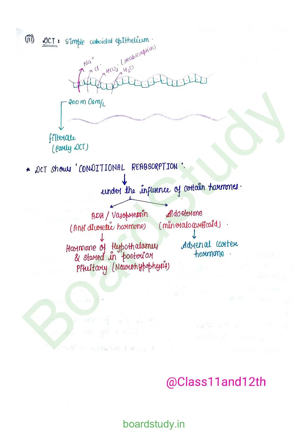Excretory product and its elimination_page-0012