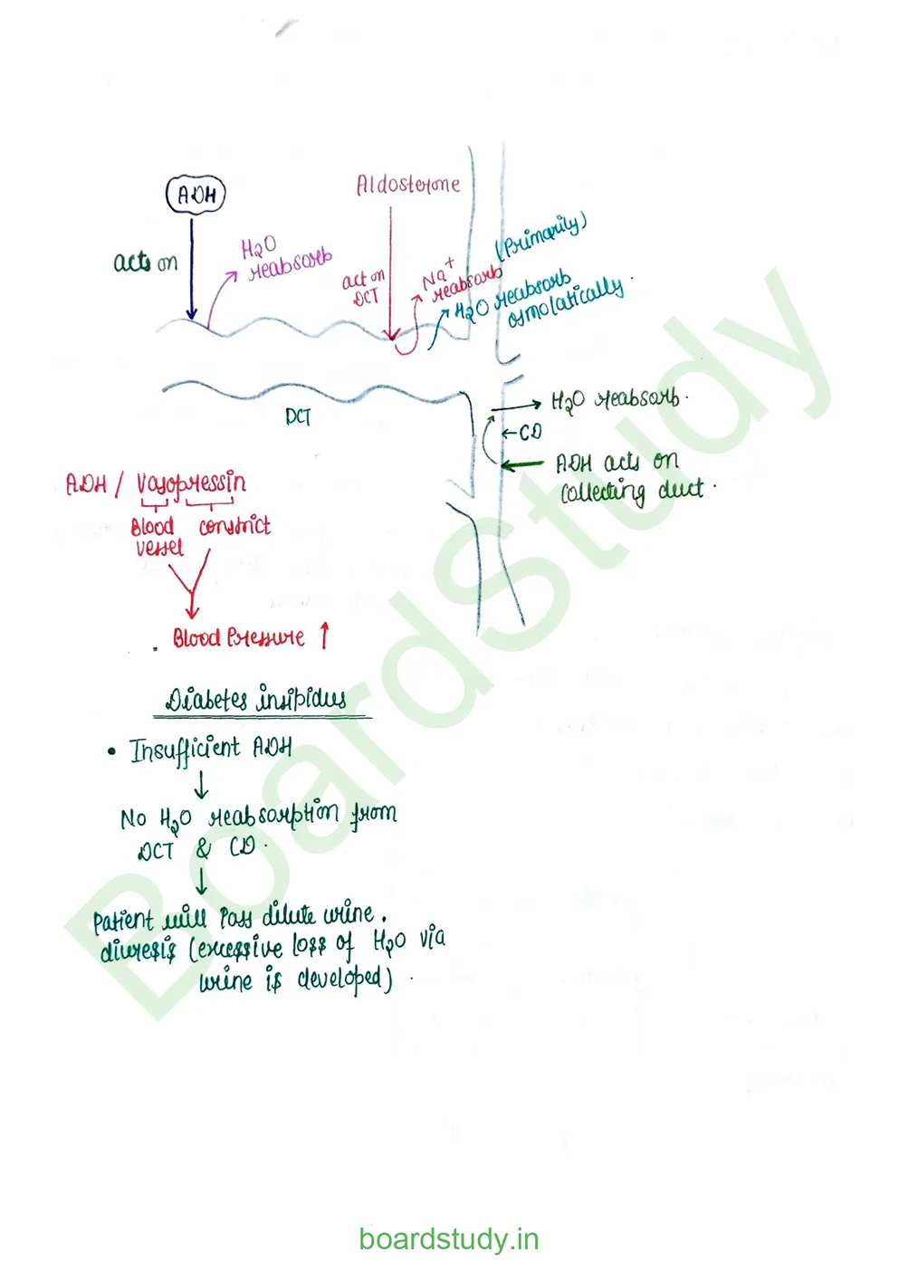 Excretory product and its elimination_page-0013