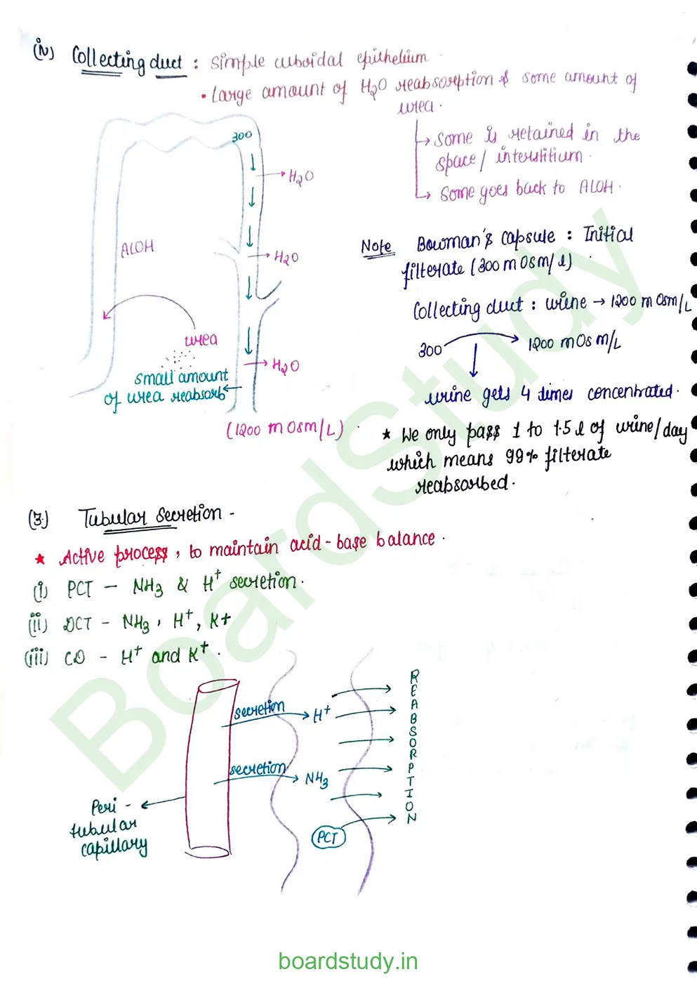 Excretory product and its elimination_page-0014