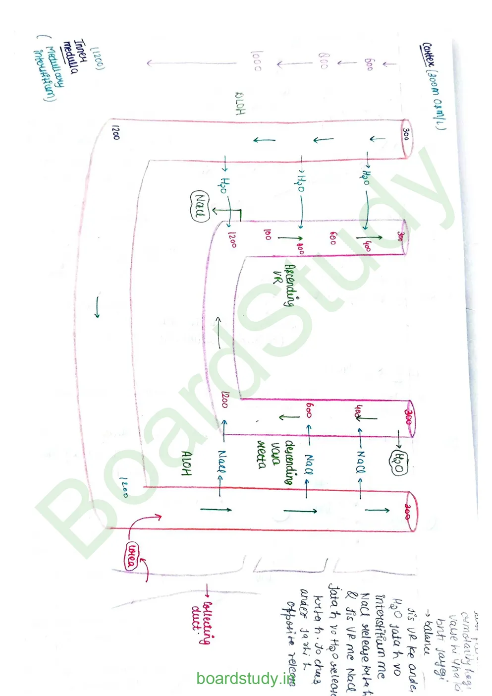 Excretory product and its elimination_page-0017