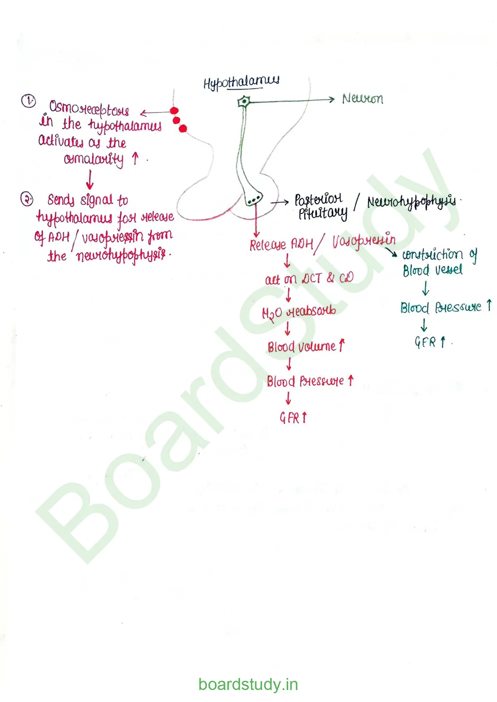 Excretory product and its elimination_page-0020