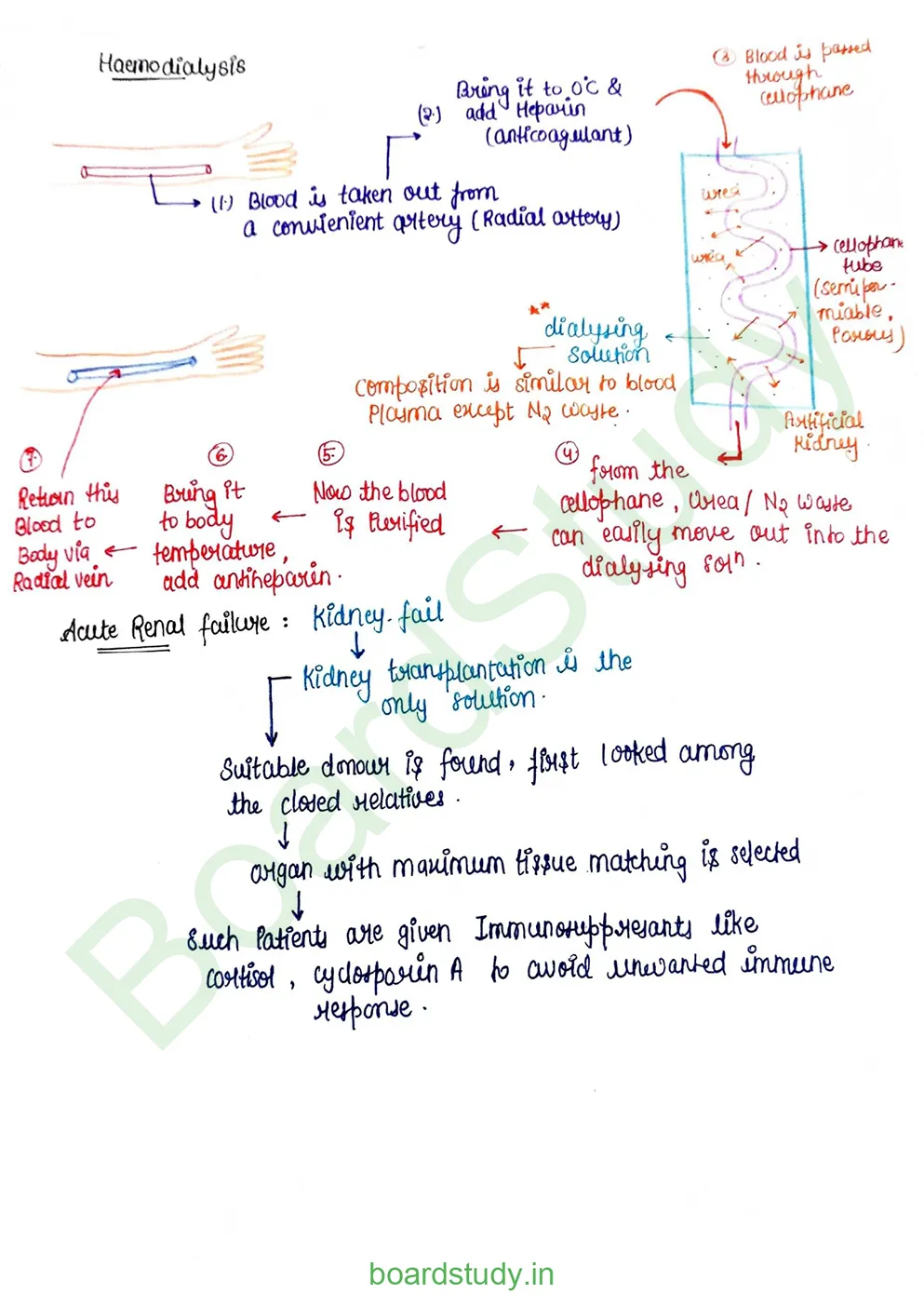 Excretory product and its elimination_page-0023