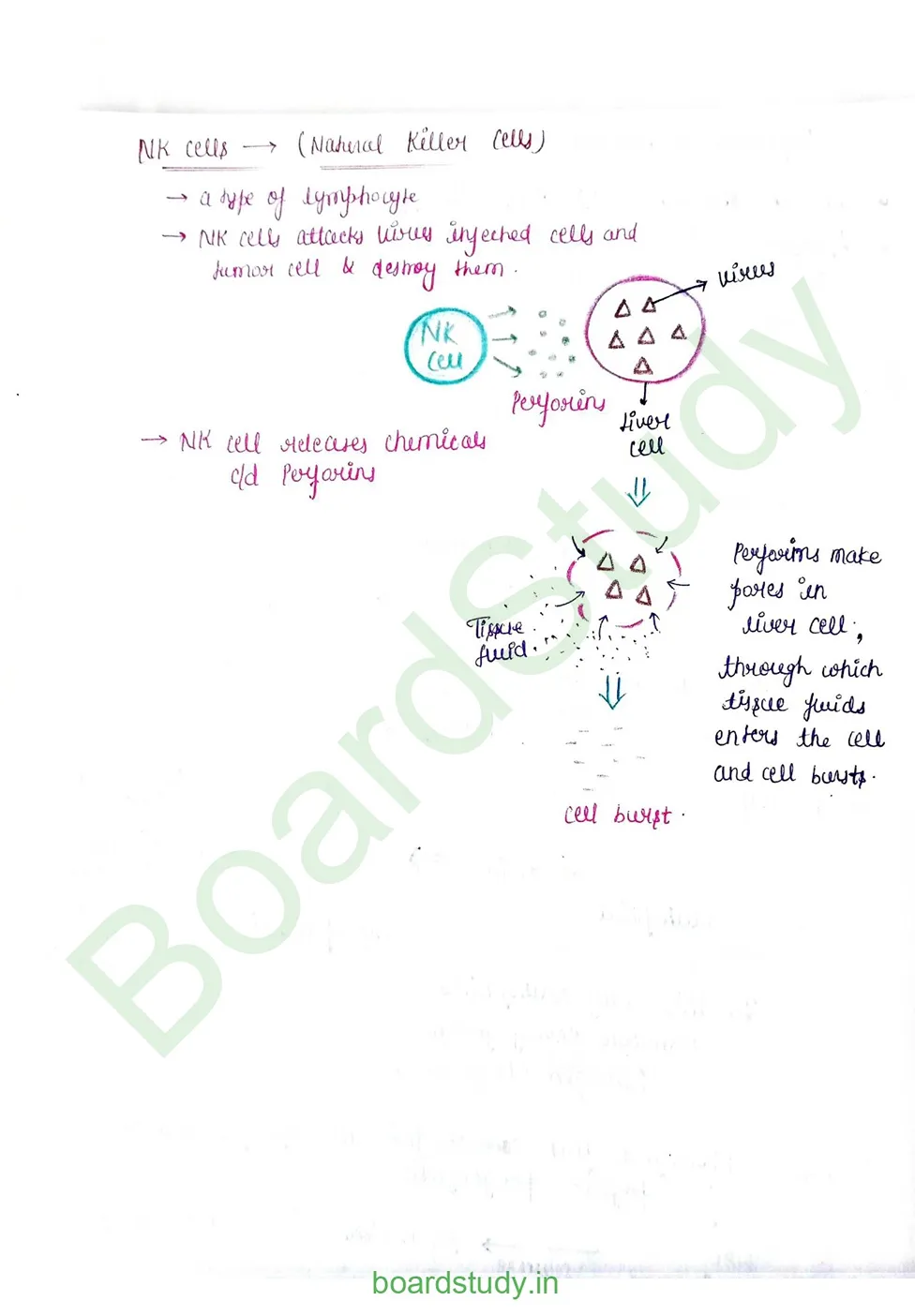 Human Health and Disease_page-0006