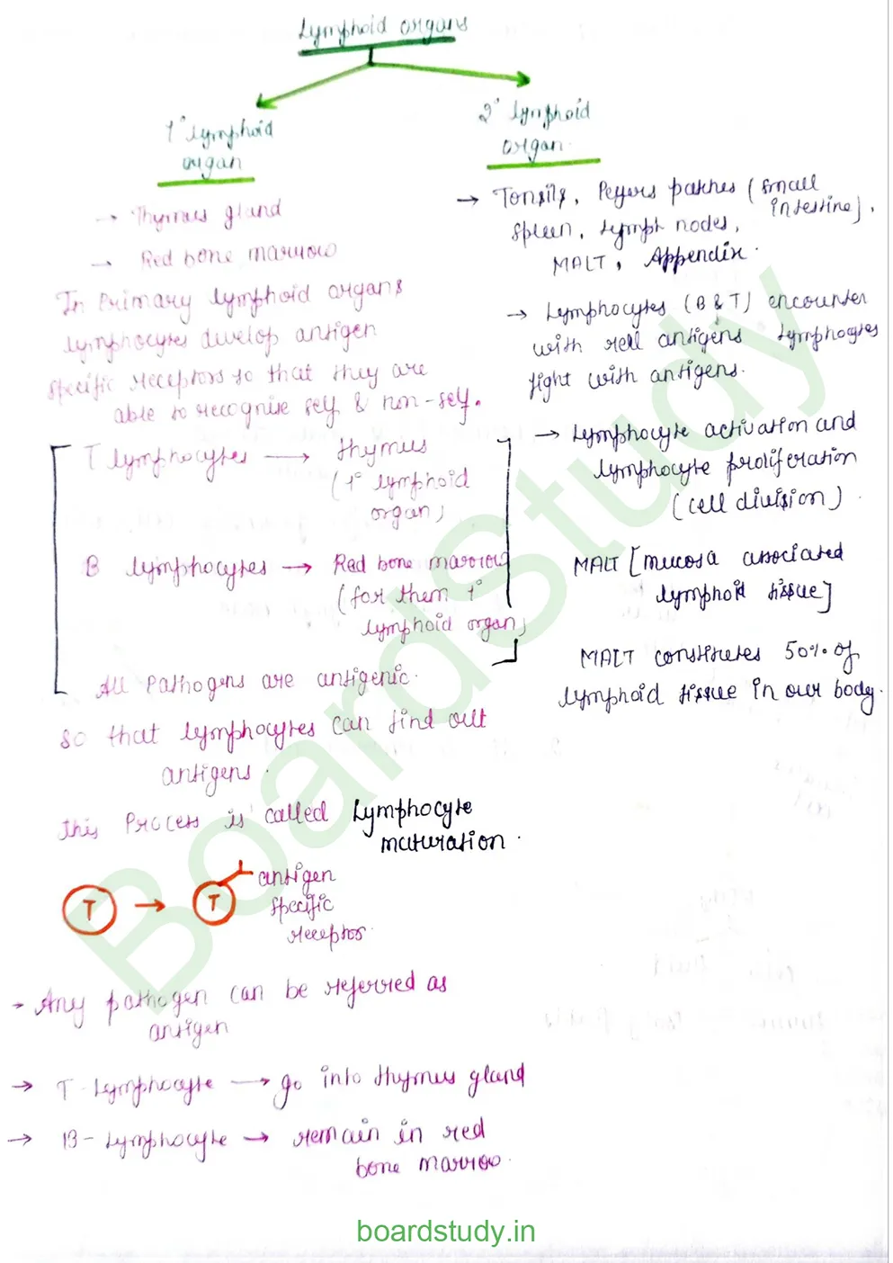 Human Health and Disease_page-0009