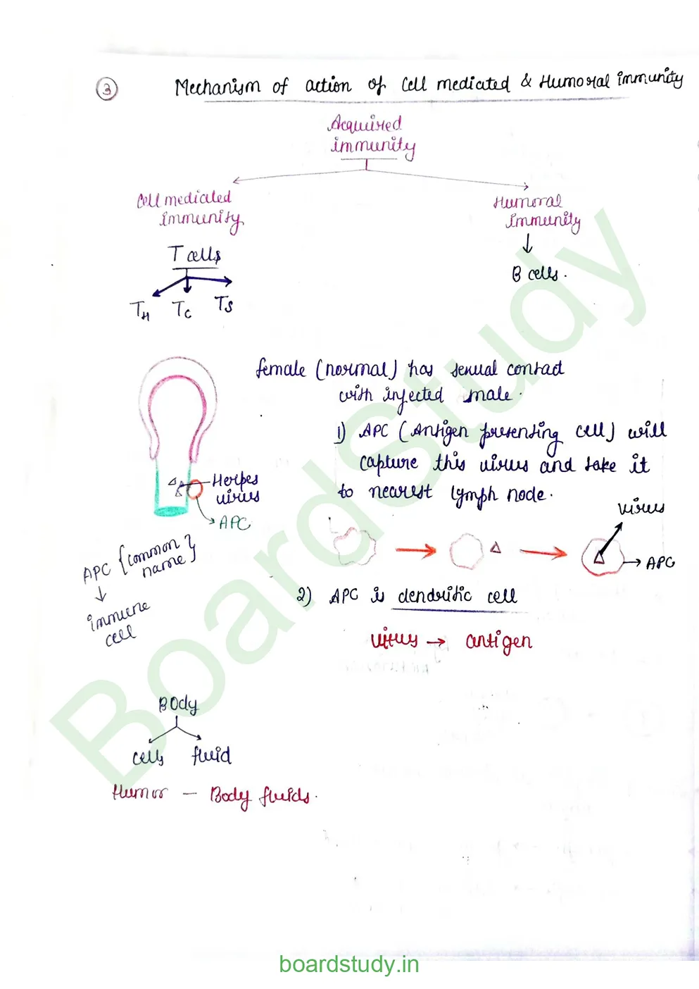 Human Health and Disease_page-0010