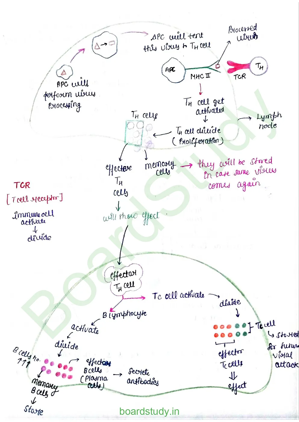 Human Health and Disease_page-0011