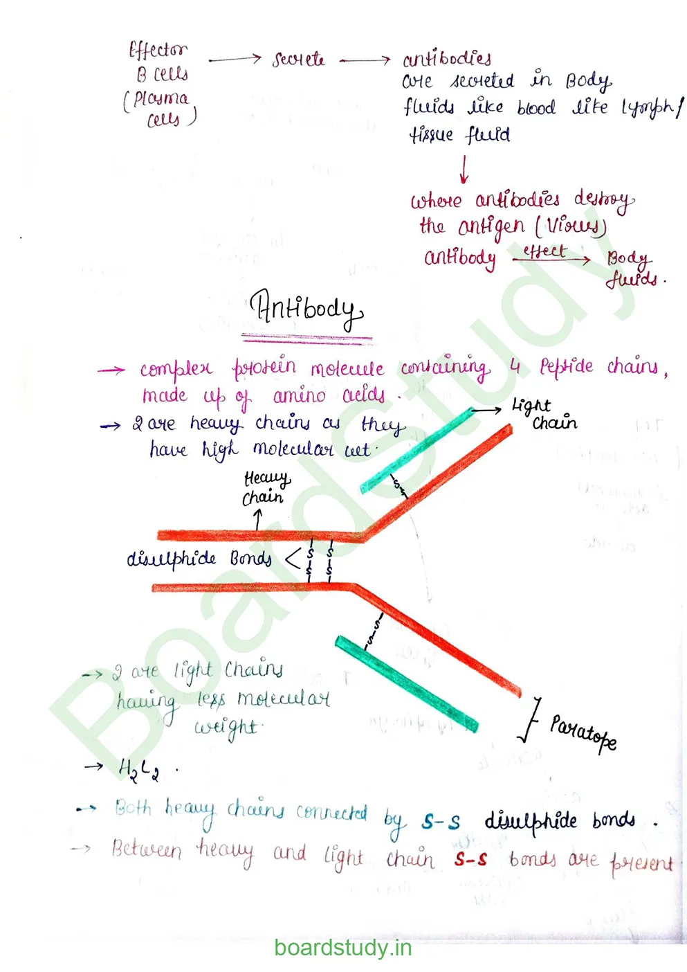 Human Health and Disease_page-0012