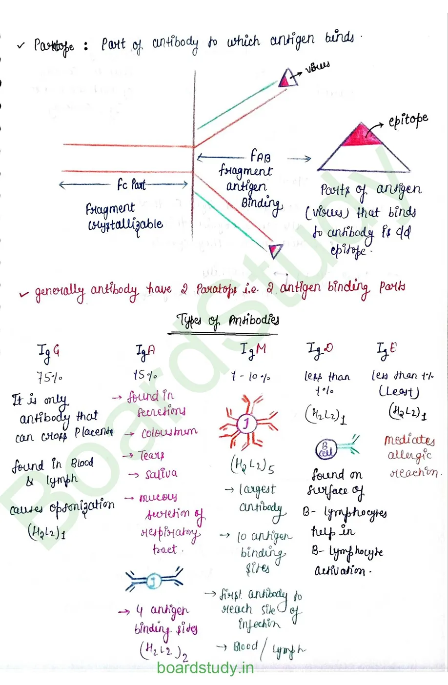 Human Health and Disease_page-0013