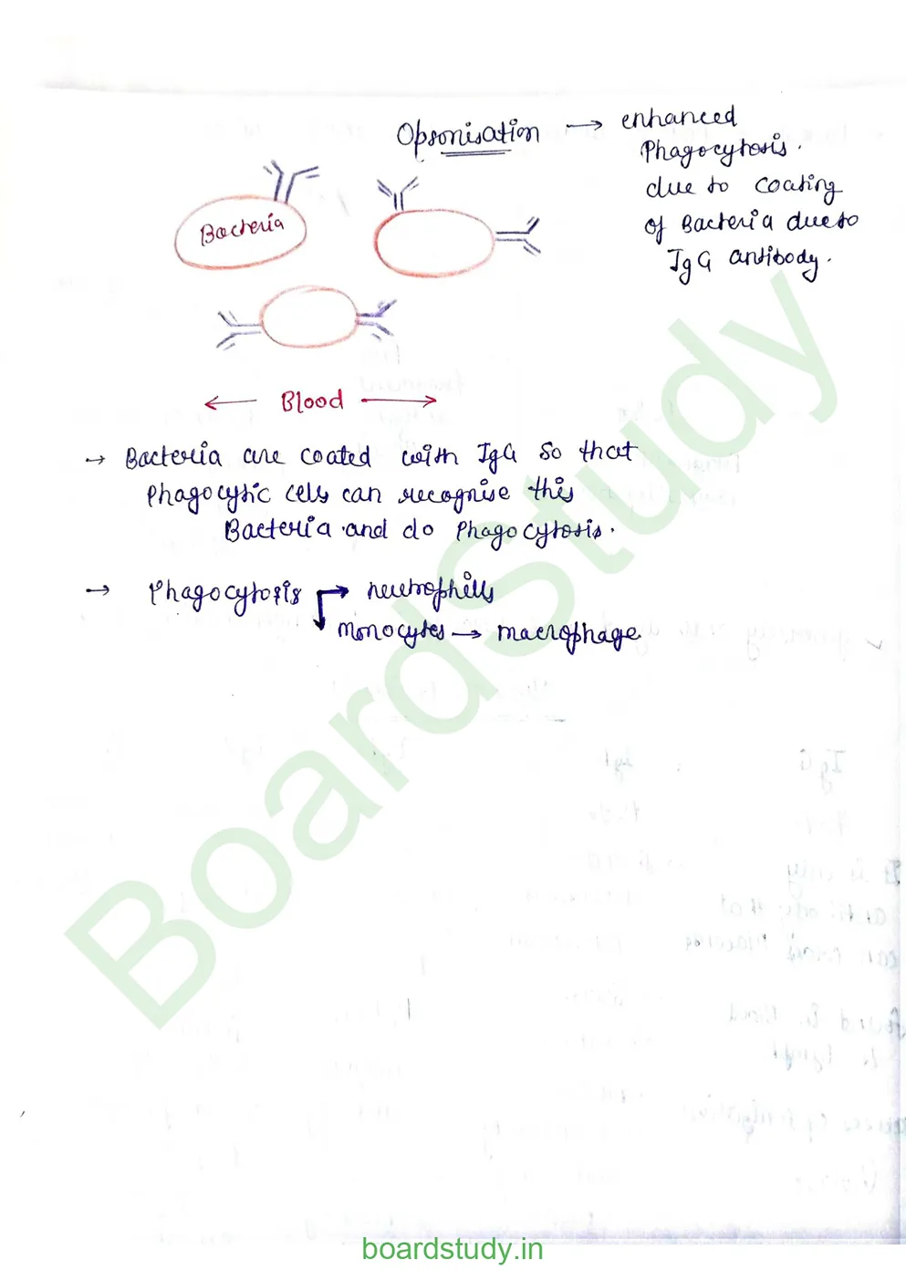 Human Health and Disease_page-0014