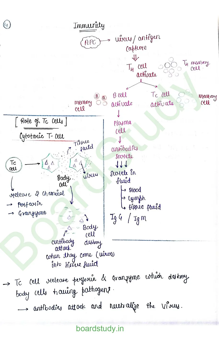 Human Health and Disease_page-0015