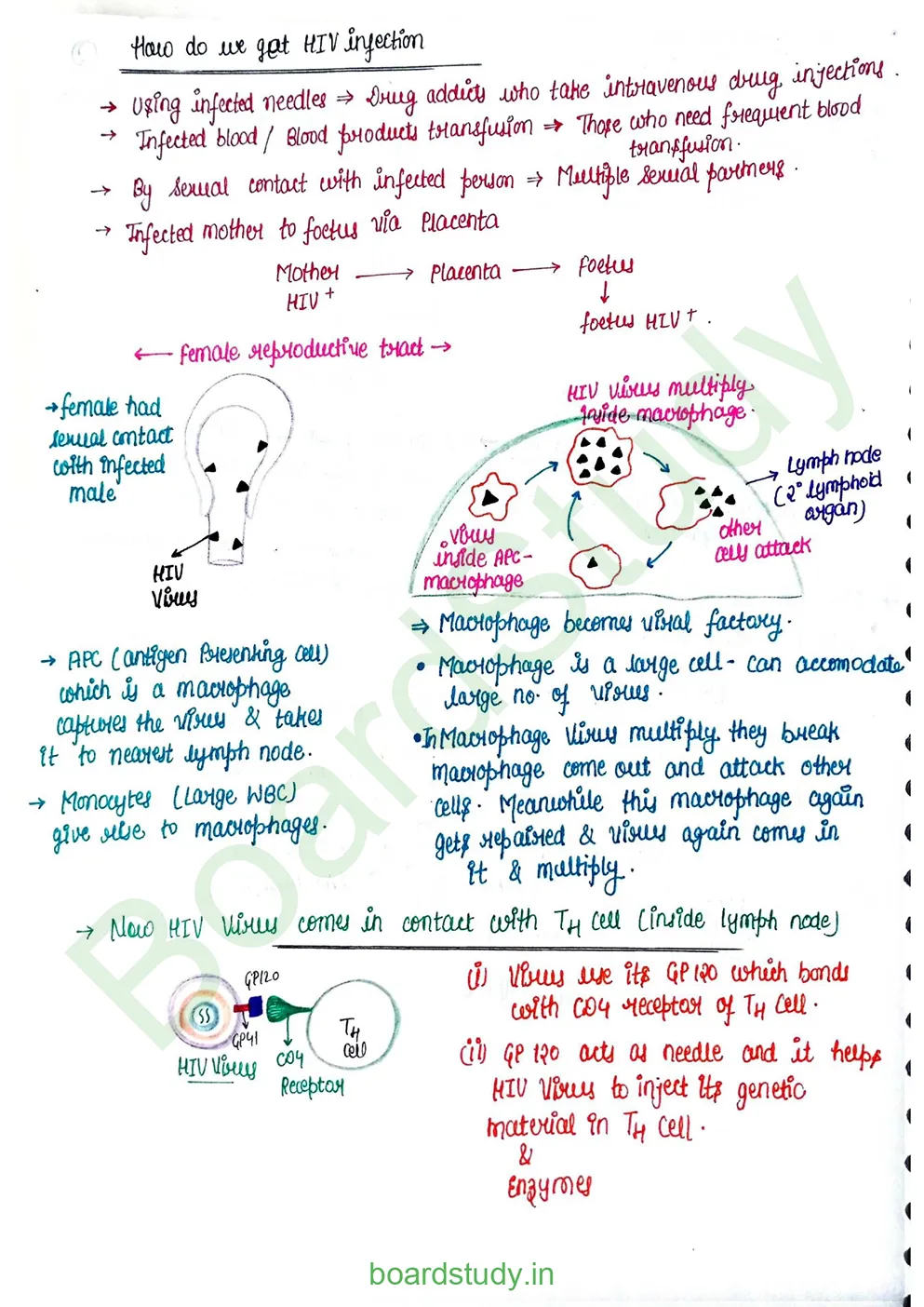 Human Health and Disease_page-0024