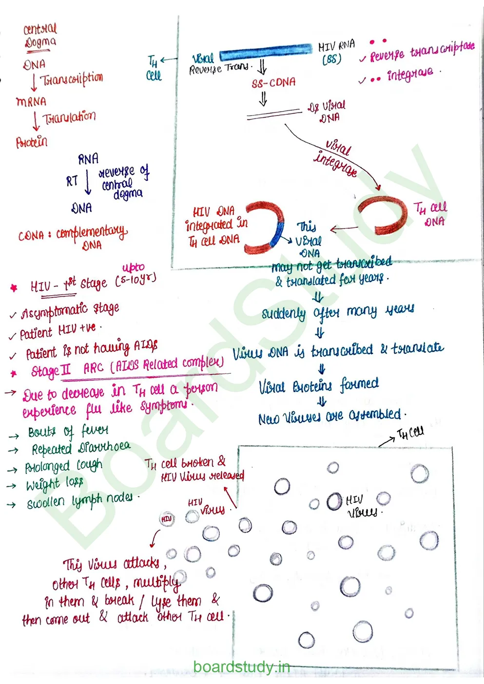 Human Health and Disease_page-0025