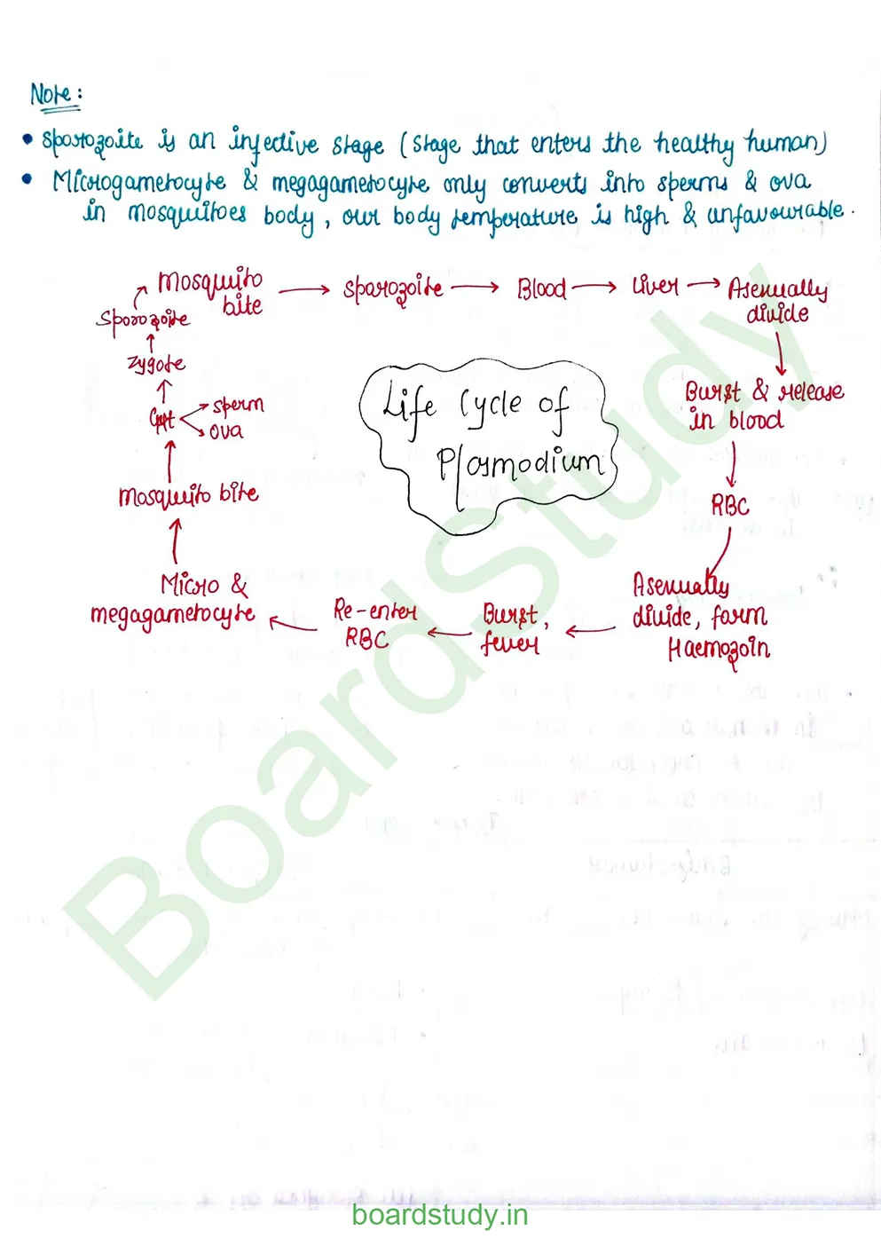 Human Health and Disease_page-0033