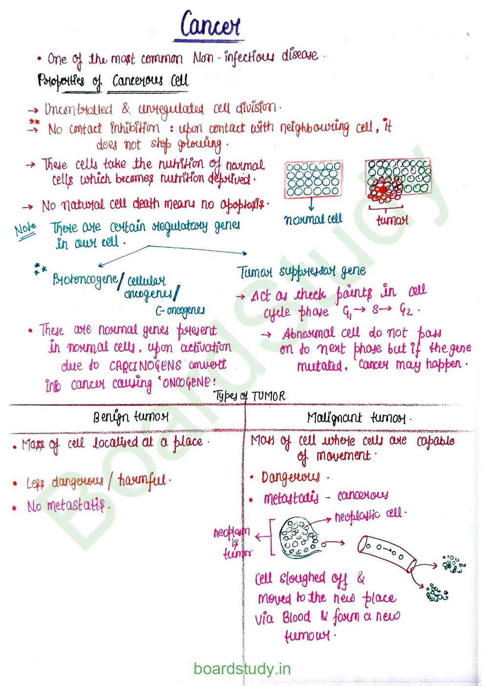 Human Health and Disease_page-0034