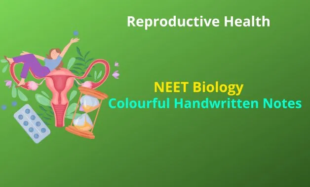 Human Reproduction