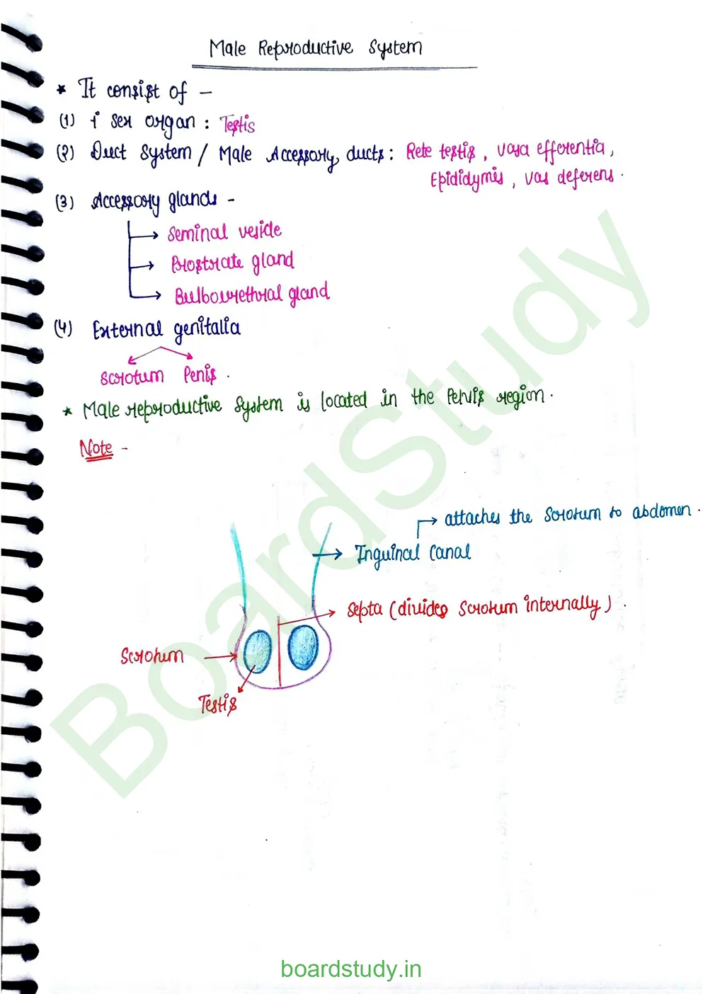 Human reproduction_page-0003