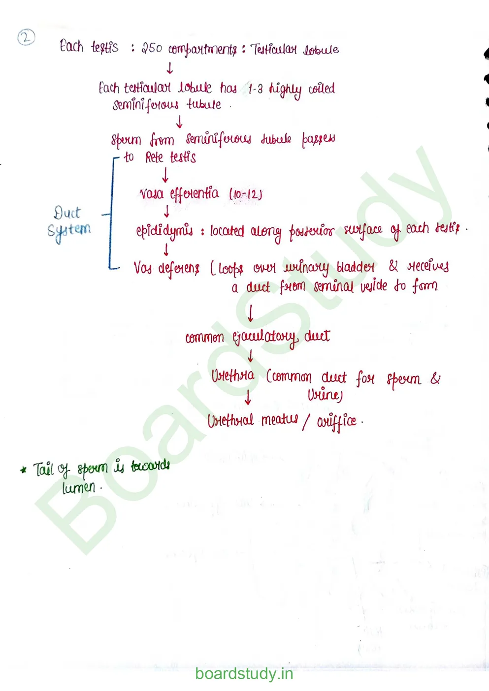 Human reproduction_page-0006