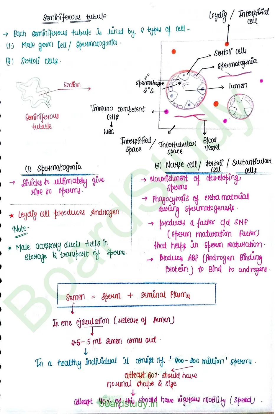 Human reproduction_page-0007