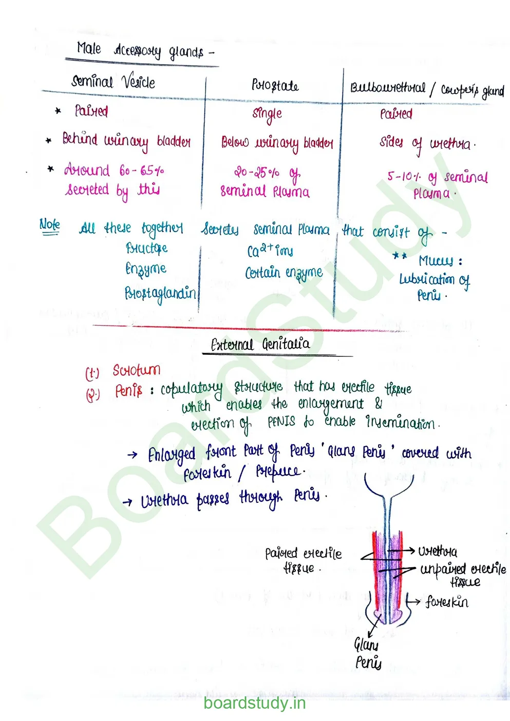 Human reproduction_page-0008
