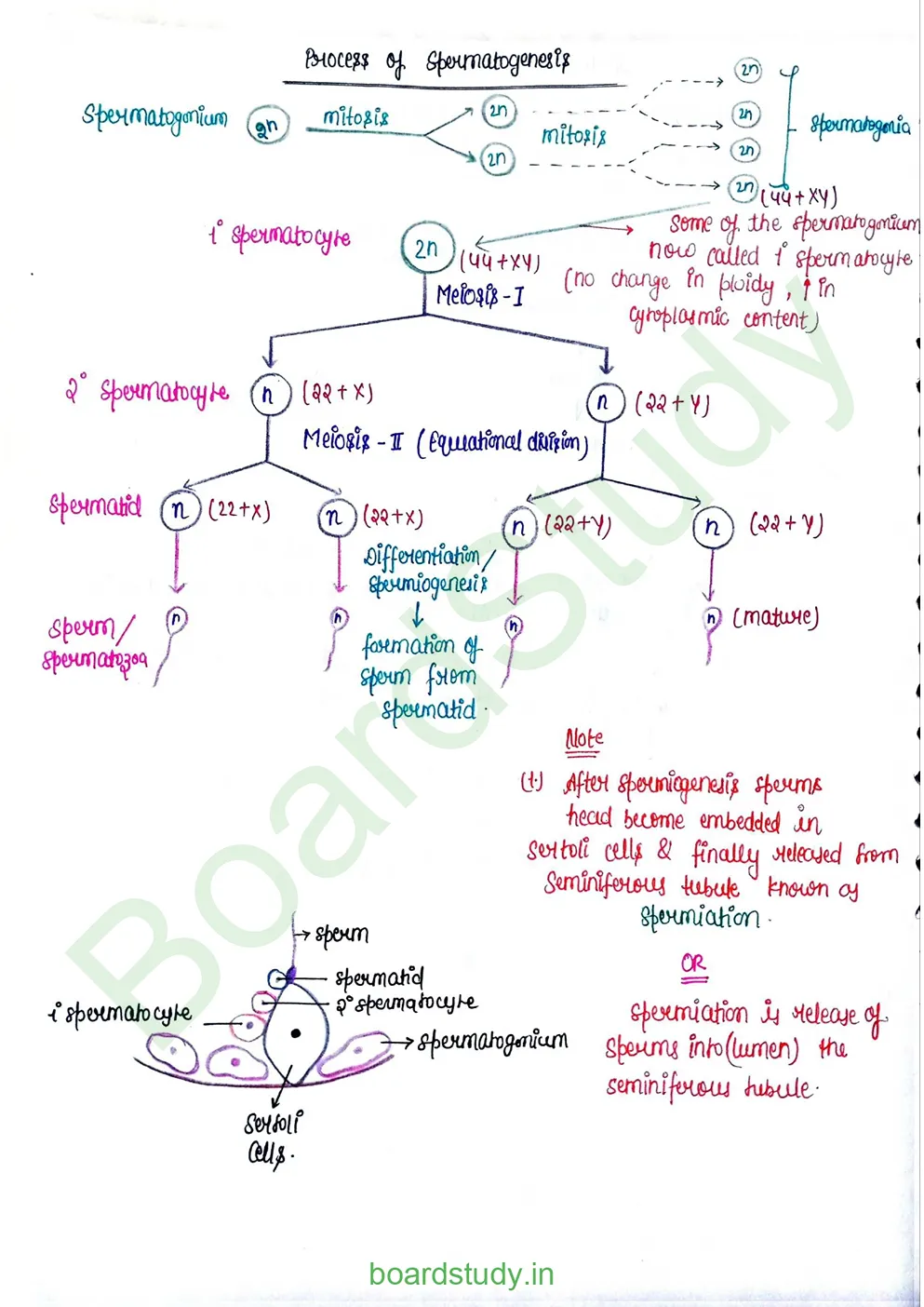 Human reproduction_page-0010