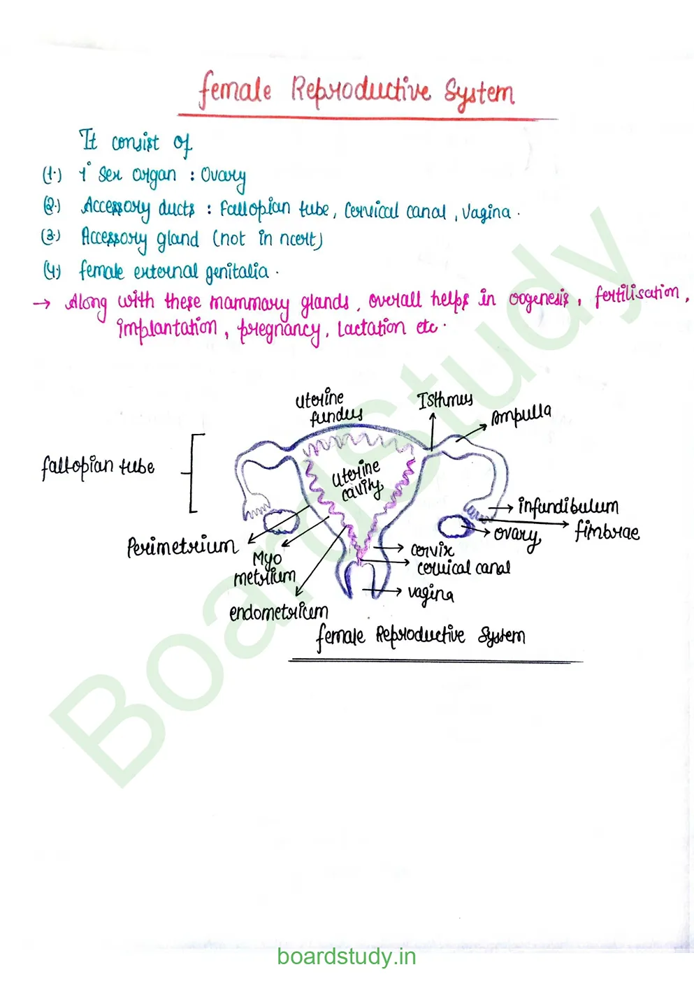 Human reproduction_page-0012
