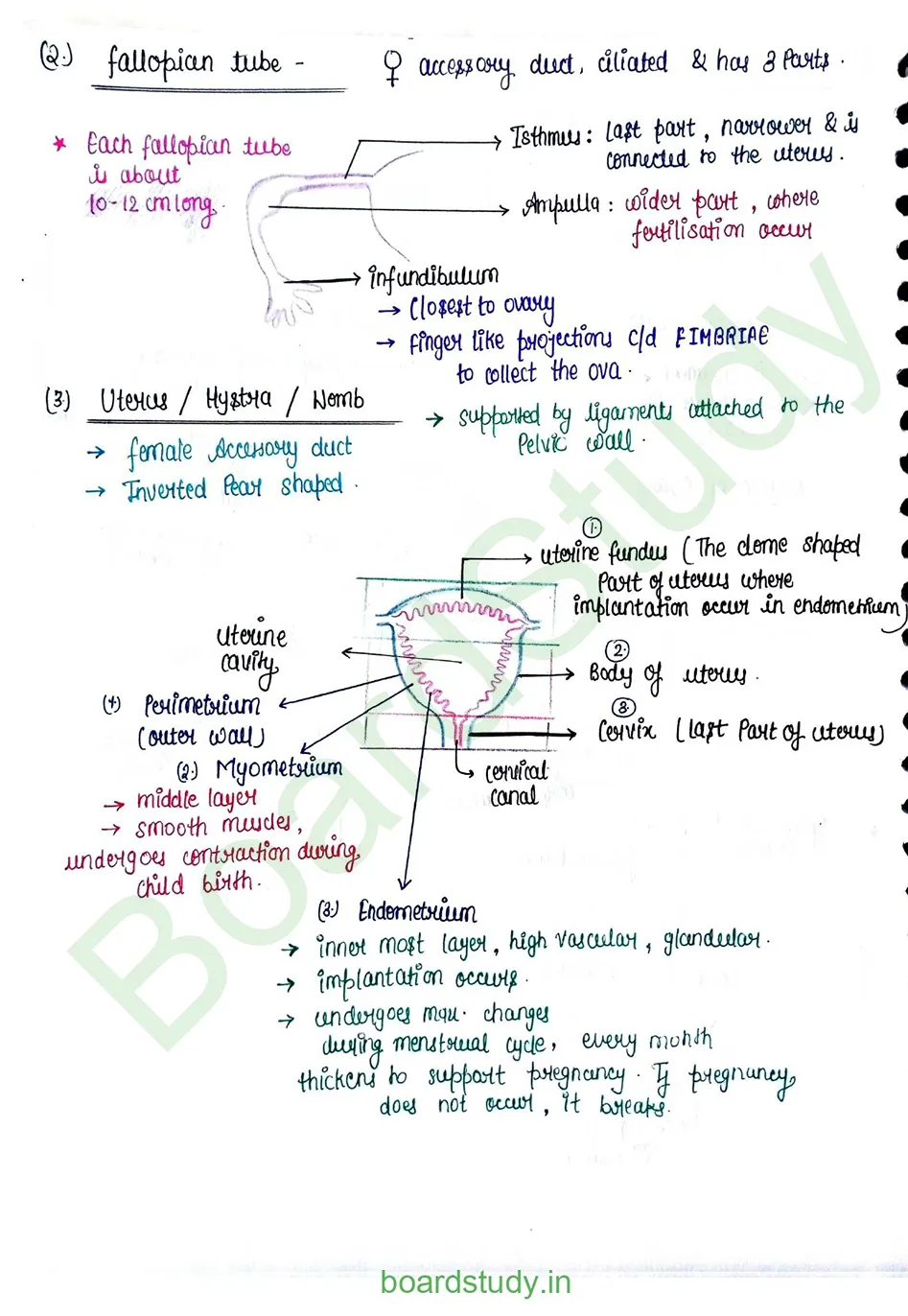 Human reproduction_page-0014