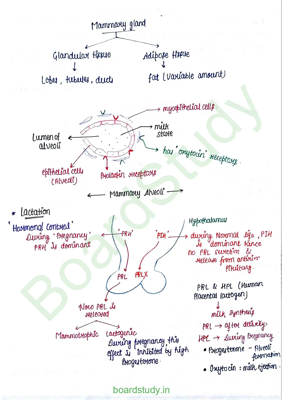 Human reproduction_page-0017