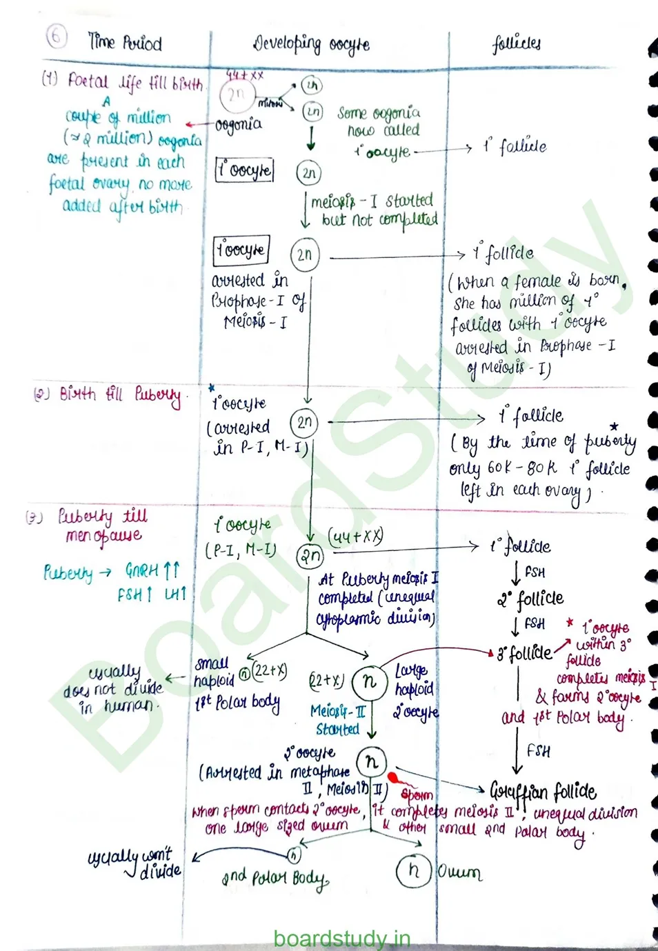 Human reproduction_page-0020