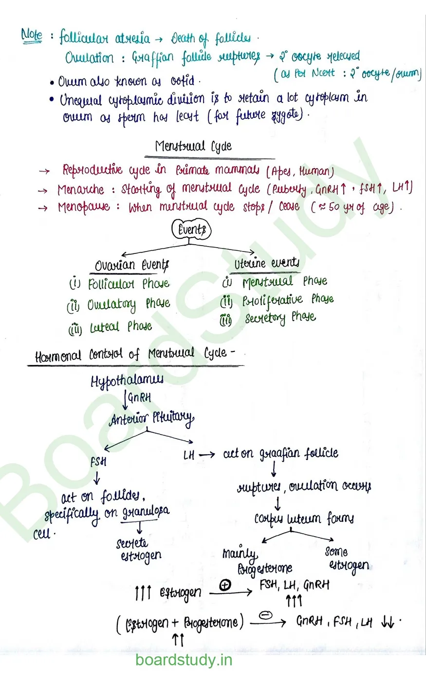 Human reproduction_page-0021