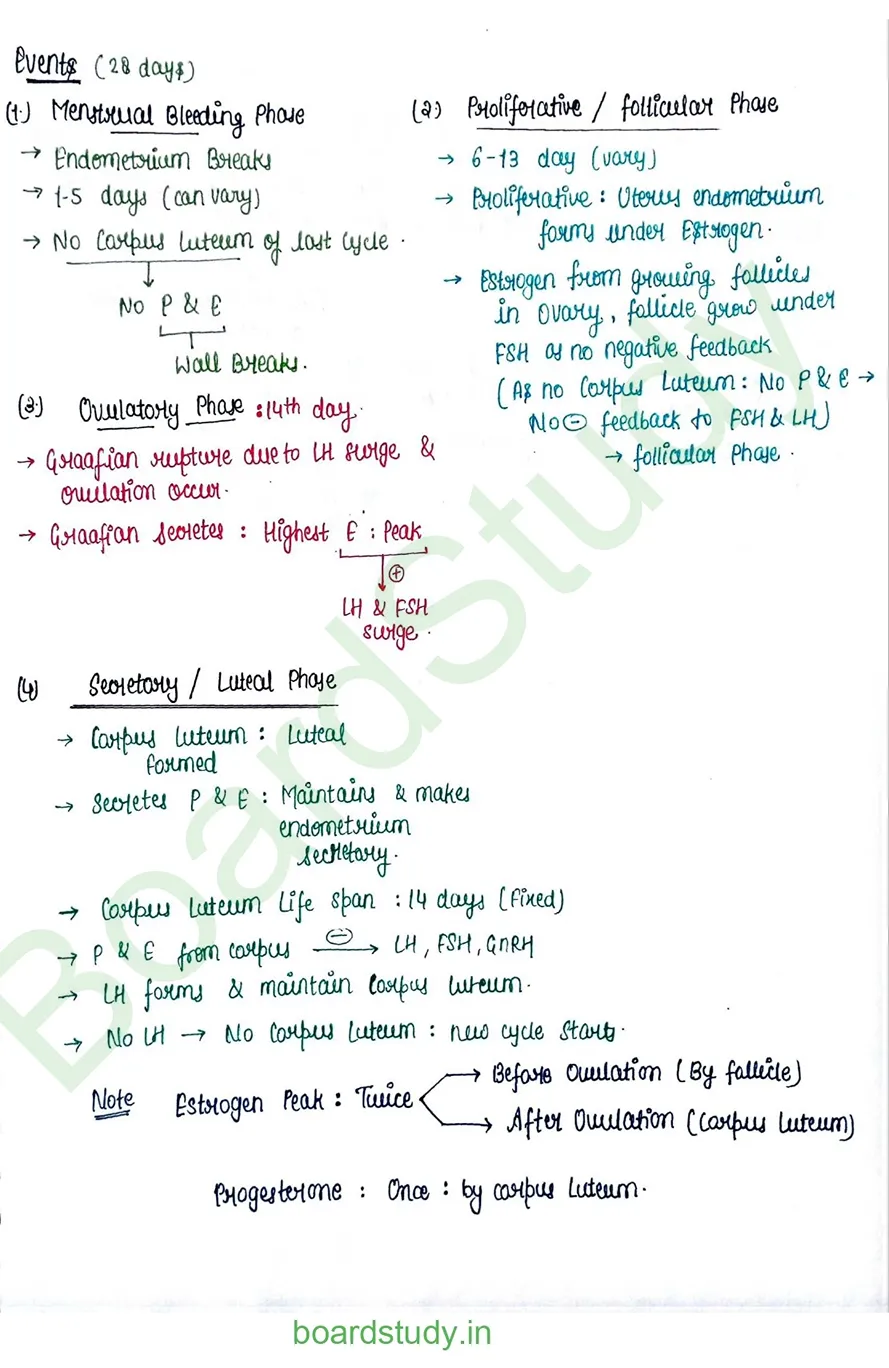 Human reproduction_page-0023
