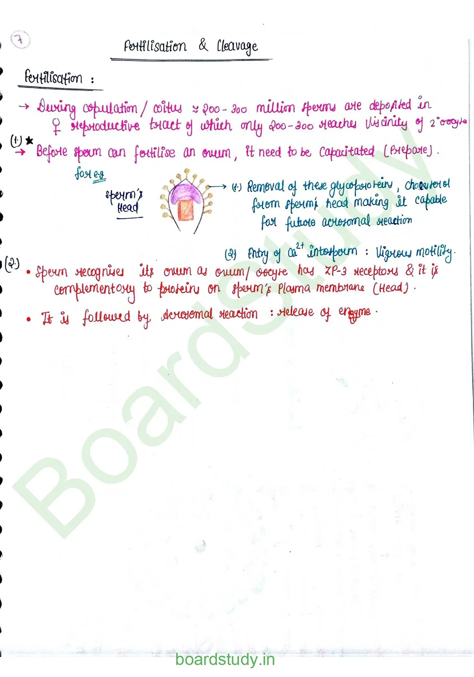 Human reproduction_page-0025