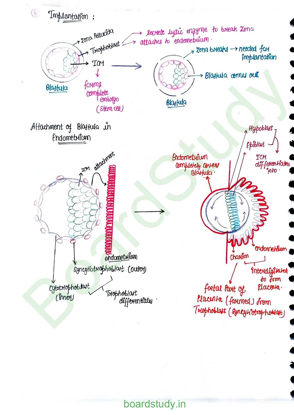 Human reproduction_page-0030