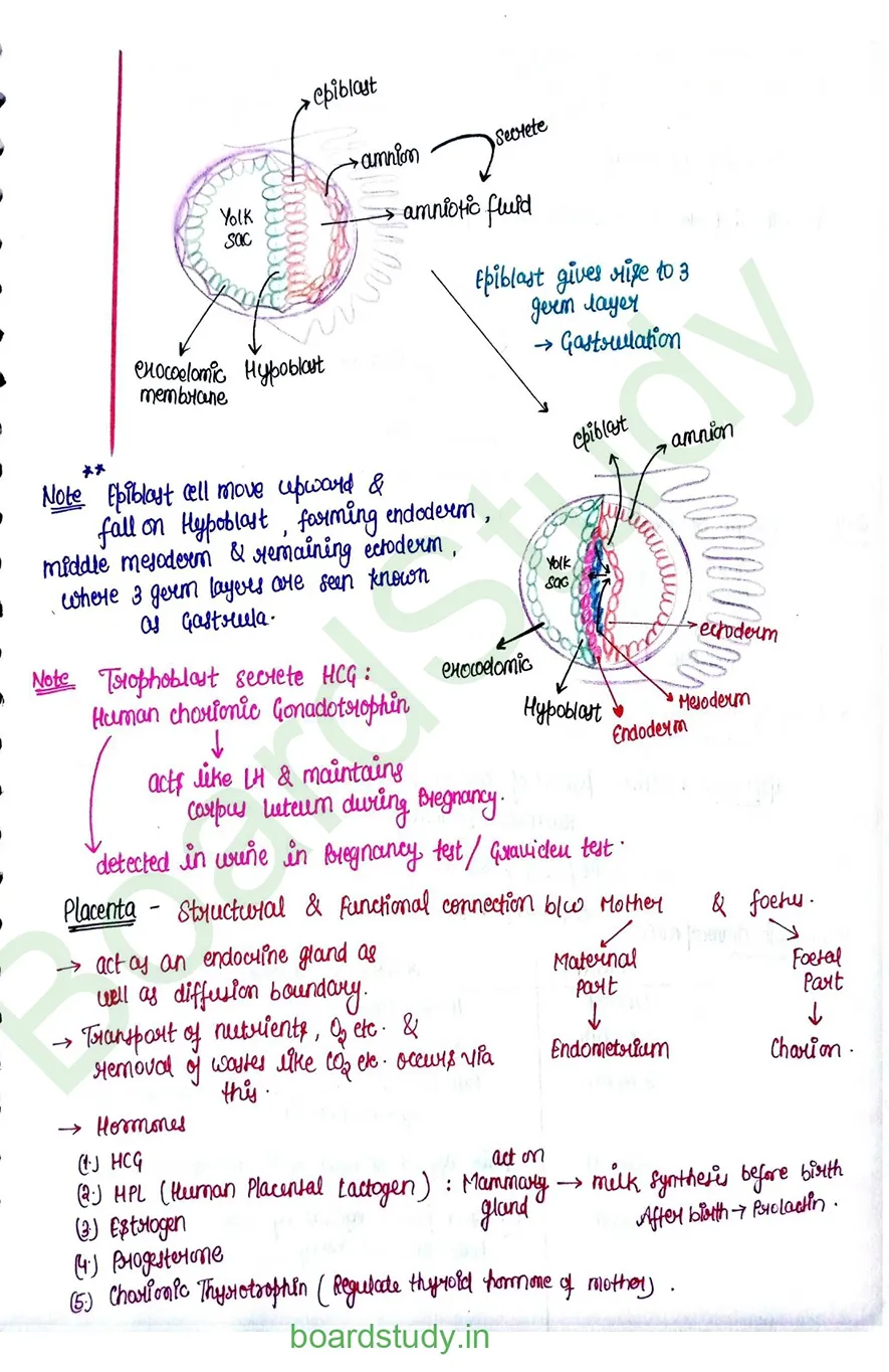 Human reproduction_page-0031