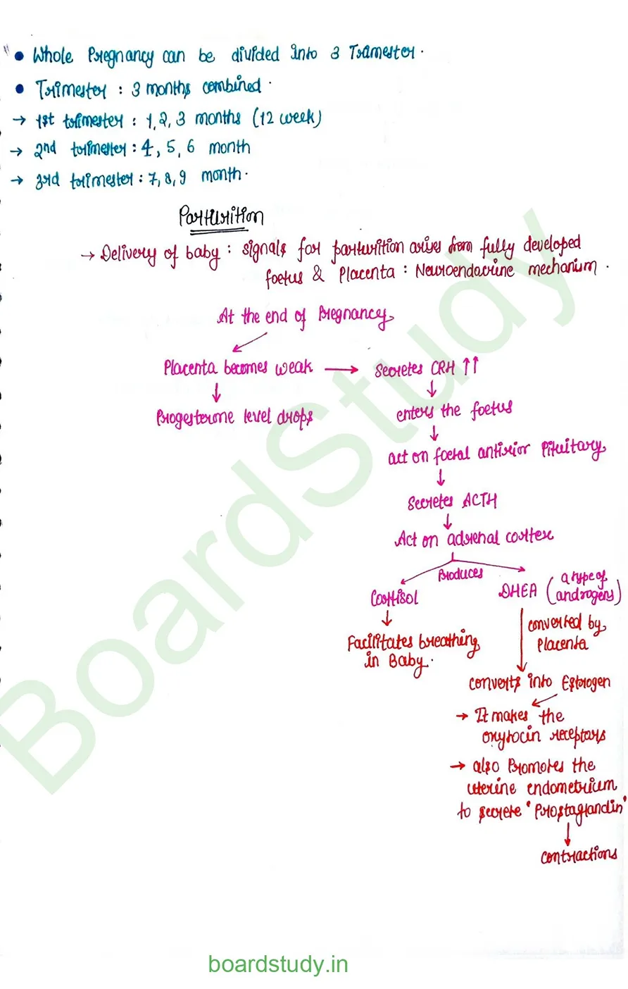 Human reproduction_page-0033