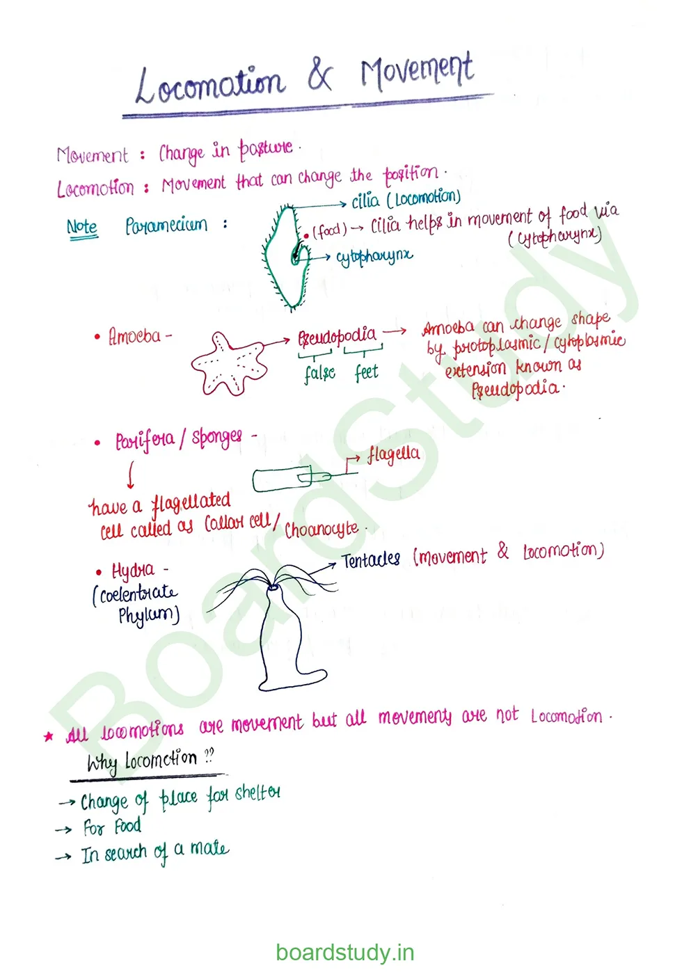 Locomotion & Movement_page-0001
