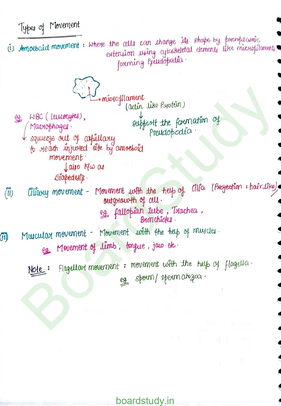 Locomotion & Movement_page-0002