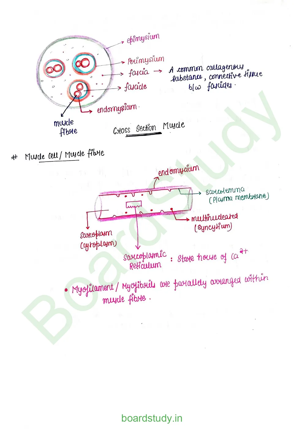 Locomotion & Movement_page-0005