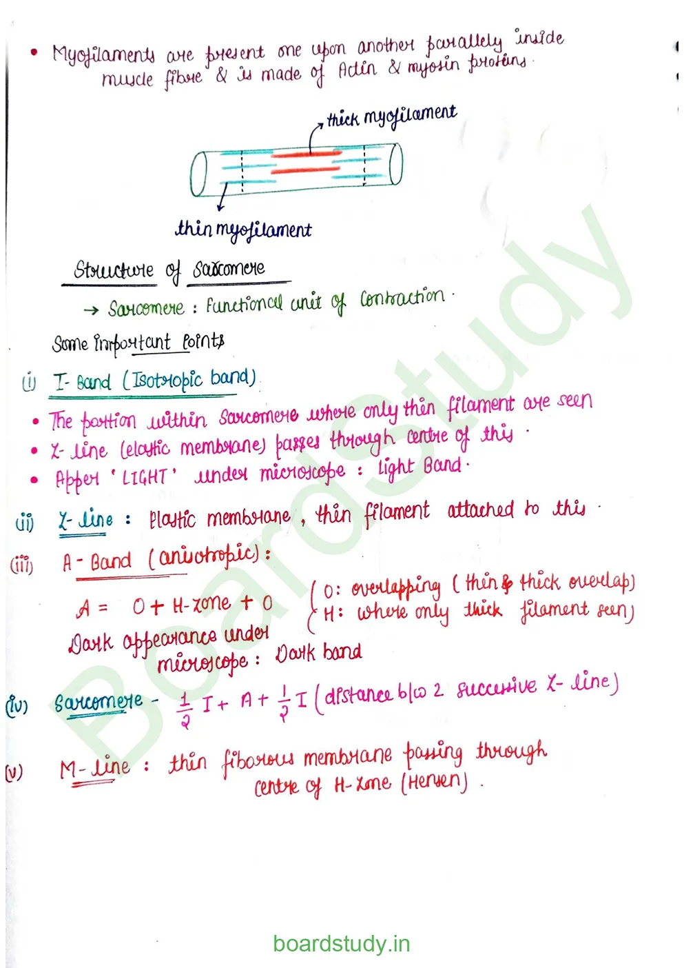 Locomotion & Movement_page-0006