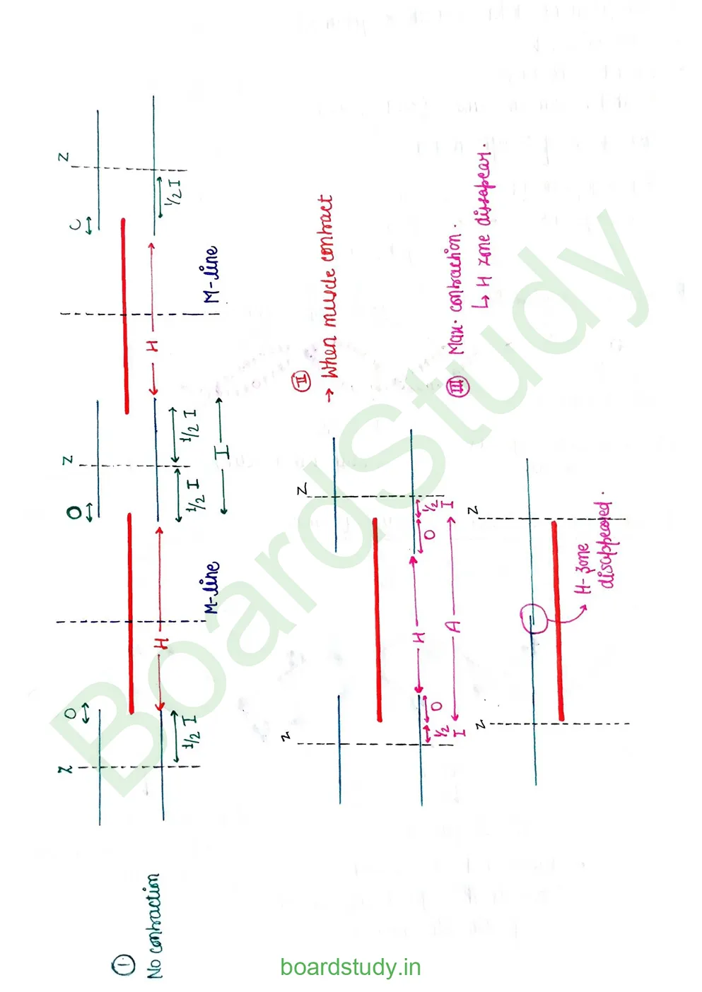Locomotion & Movement_page-0007