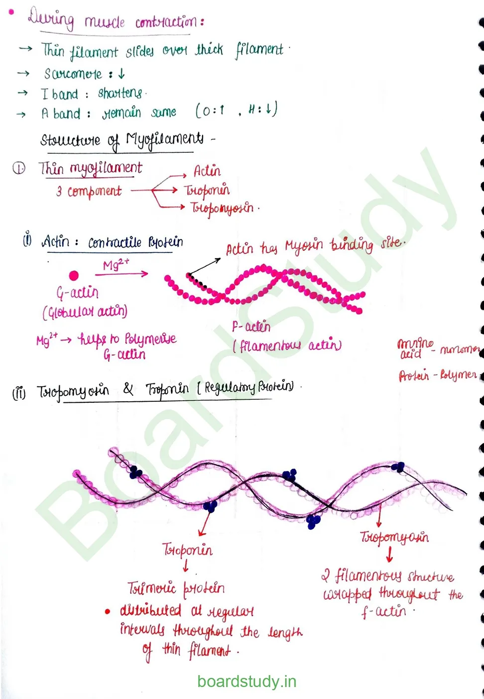 Locomotion & Movement_page-0008