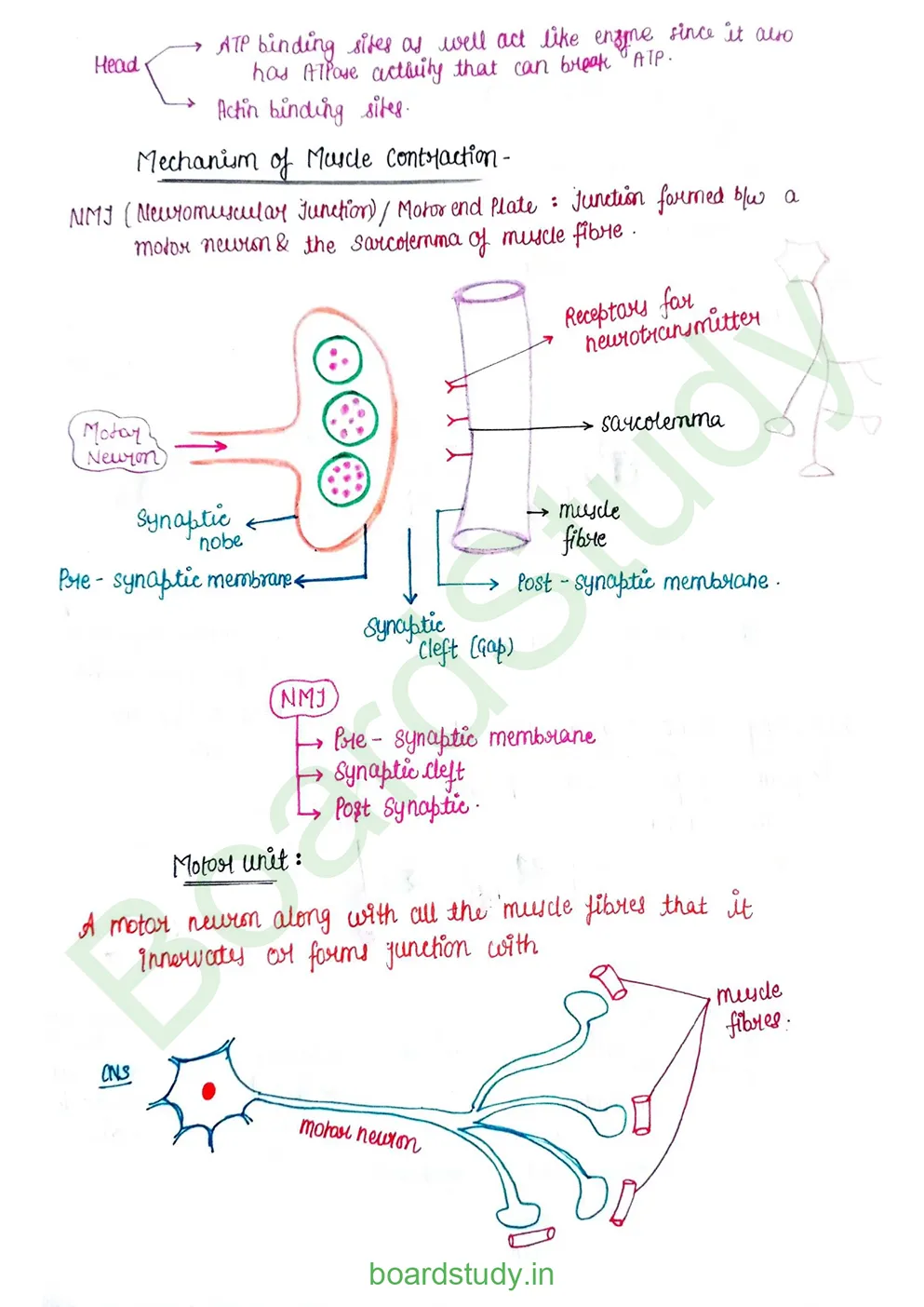 Locomotion & Movement_page-0010