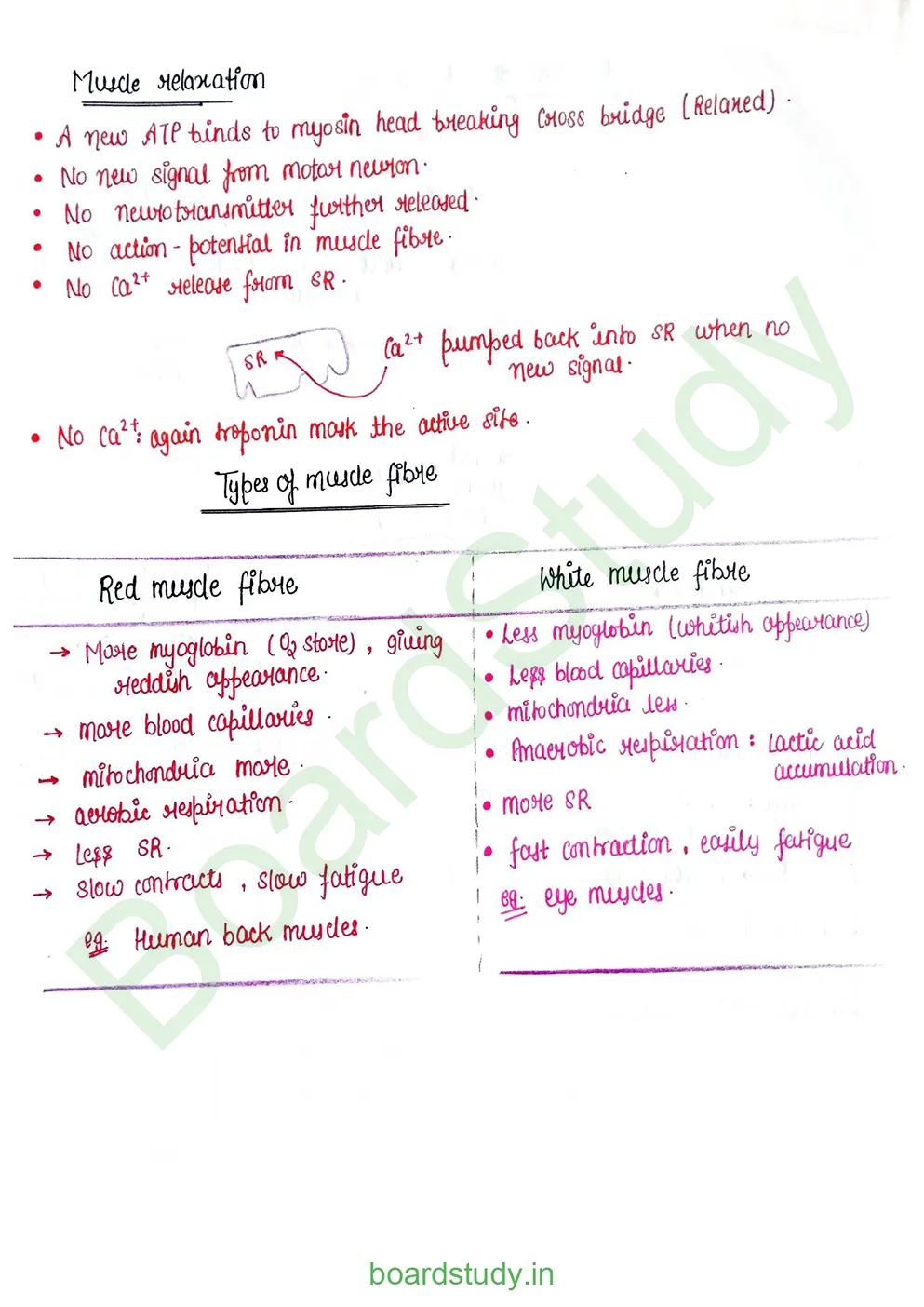 Locomotion & Movement_page-0013