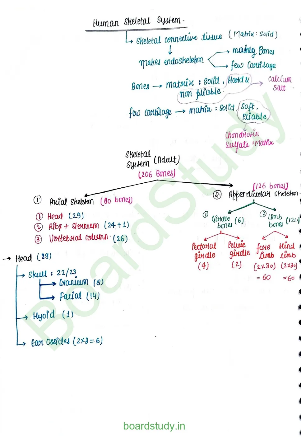 Locomotion & Movement_page-0014